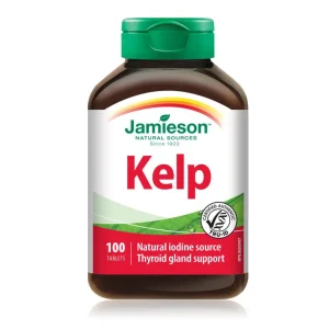 Kelp_en