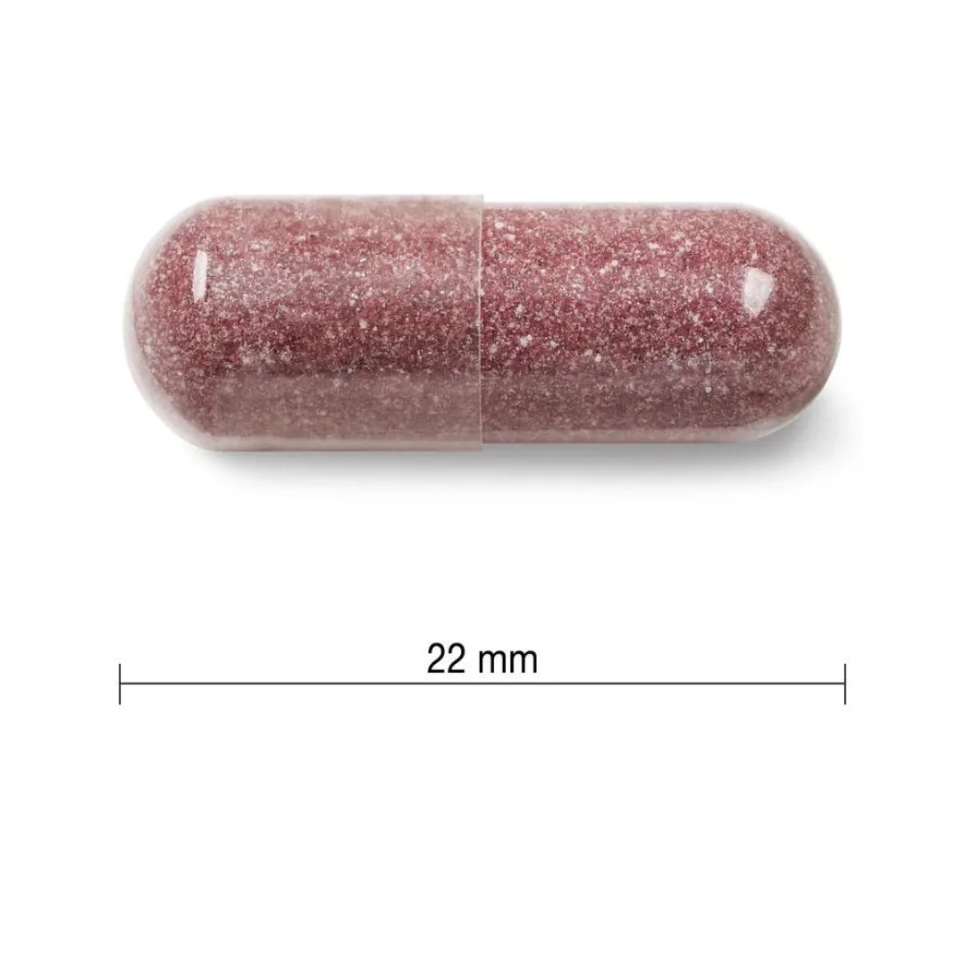 BRUSNICA kompleks maksimalne koncentracije, sa D-Manozom_3